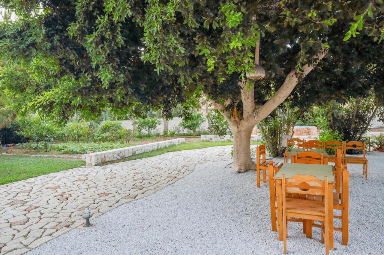 Amatu Villa أكسيروكامبوس المظهر الخارجي الصورة